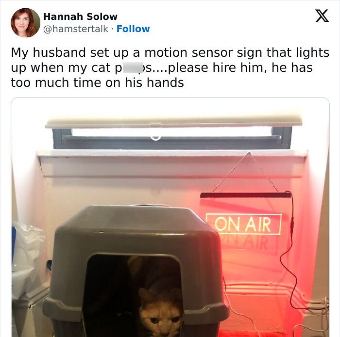 When Cats Get Their Goofy On: The Weirdest, Most Hilarious Cat Pics Ever