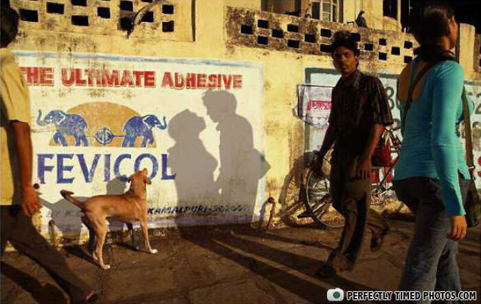 Wait, They Nailed These Photos at Just the Right Second?!