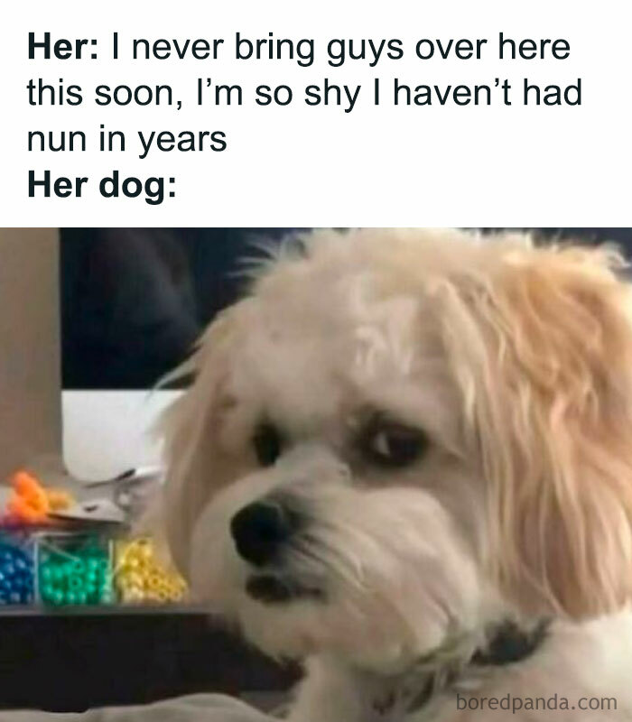 These 40 Memes Will Totally Crack You Up (No Boring Mondays Allowed)