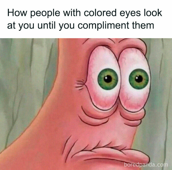 These 40 Memes Will Totally Crack You Up (No Boring Mondays Allowed)