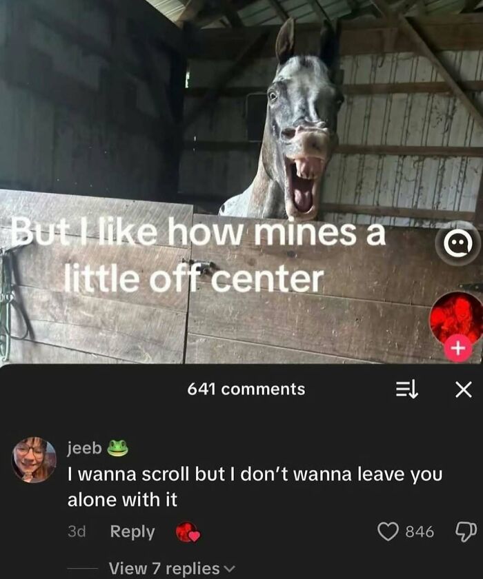 Let’s Dive Into These 120 Animal Memes That’ll Totally Crack You Up