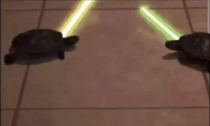 Let’s Dive Into These 120 Animal Memes That’ll Totally Crack You Up