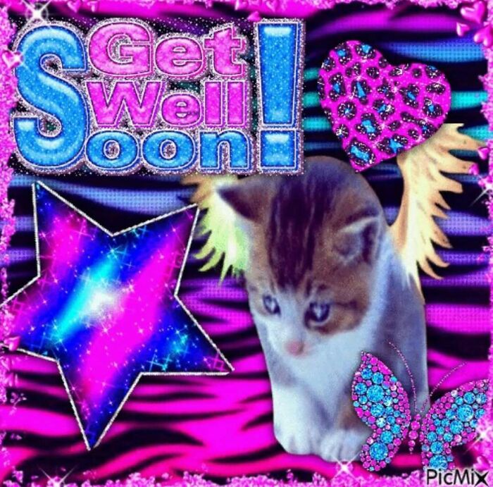 Let’s Dive Into These 120 Animal Memes That’ll Totally Crack You Up