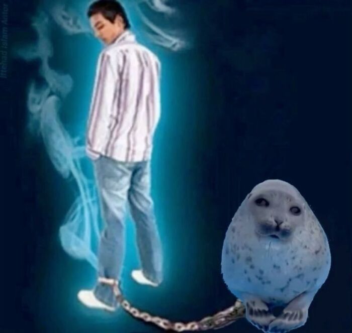 Let’s Dive Into These 120 Animal Memes That’ll Totally Crack You Up