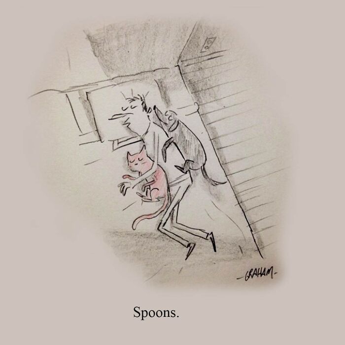 Wait, This Canadian Cartoonist Turns the Weirdest Quiet Moments Into Darkly Hilarious Comics!