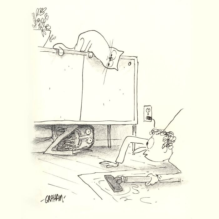 Wait, This Canadian Cartoonist Turns the Weirdest Quiet Moments Into Darkly Hilarious Comics!