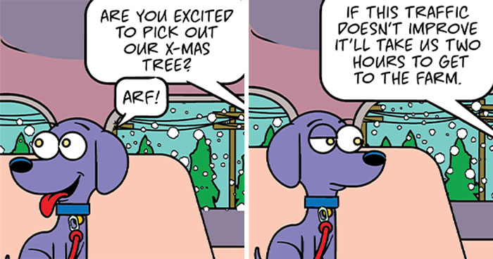 20 Hilarious Comics That Totally Nail What December With Pets Is Like