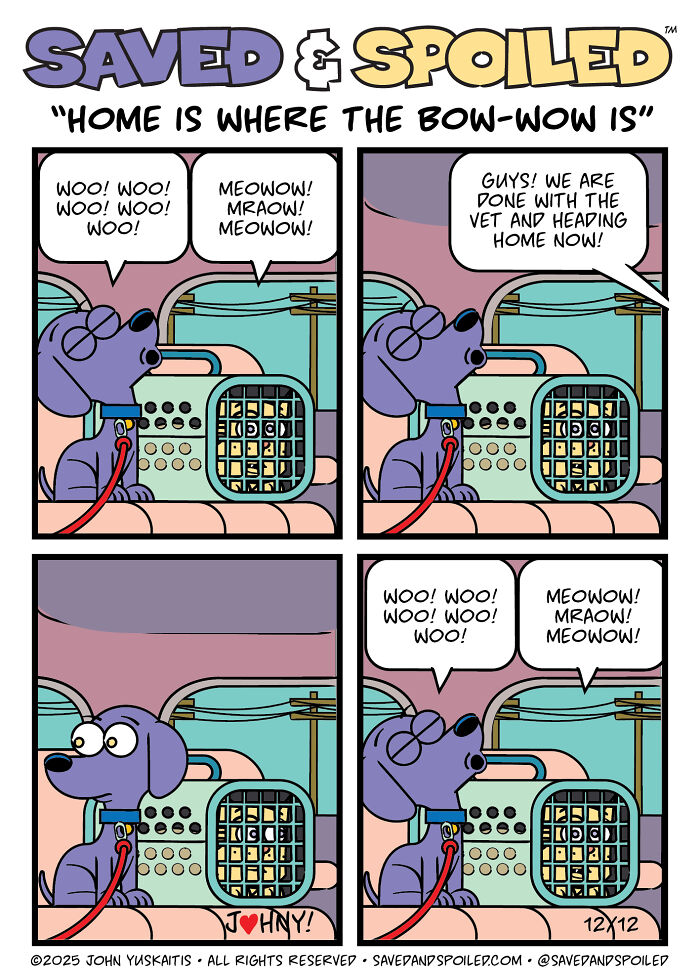 Home is Where the Bow-Wow Is