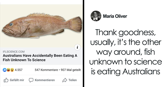 79 Hilariously Random Memes That Are Exactly the Pick-Me-Up You Didn’t Know You Needed