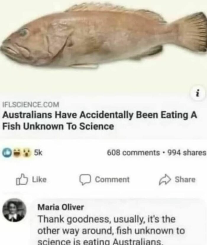 79 Hilariously Random Memes That Are Exactly the Pick-Me-Up You Didn’t Know You Needed