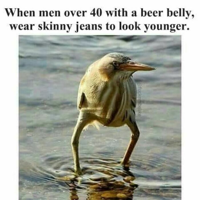 79 Hilariously Random Memes That Are Exactly the Pick-Me-Up You Didn’t Know You Needed