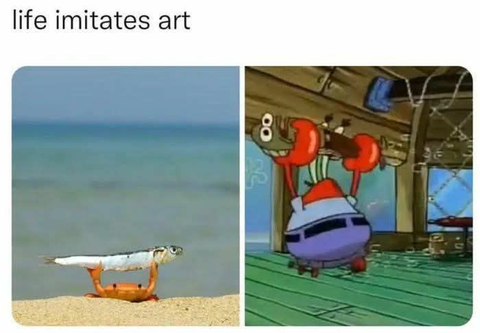 79 Hilariously Random Memes That Are Exactly the Pick-Me-Up You Didn’t Know You Needed