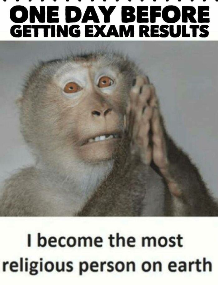 79 Hilariously Random Memes That Are Exactly the Pick-Me-Up You Didn’t Know You Needed