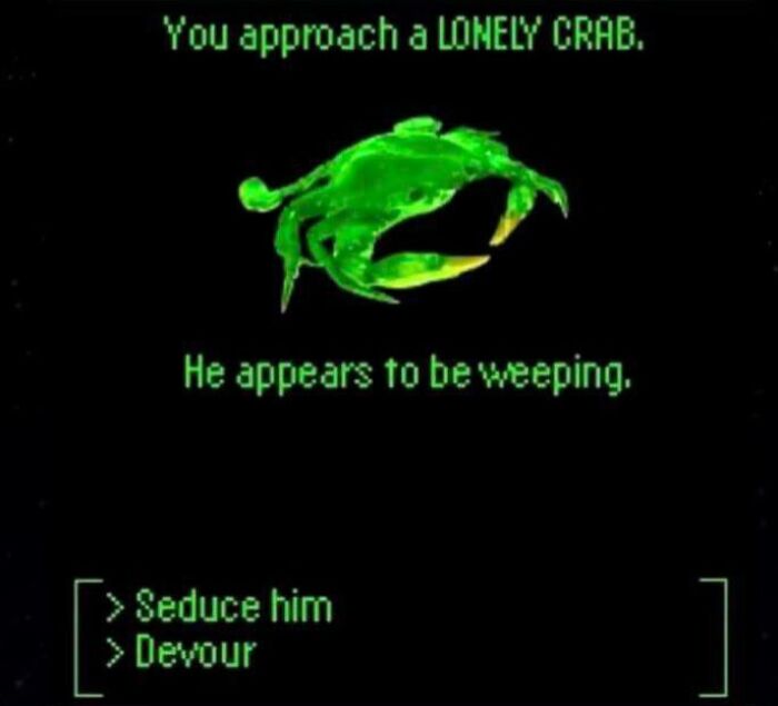 Lonely Crab