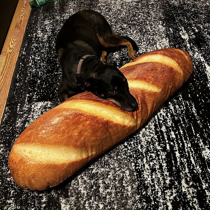 No Carb Cutbacks Here! This Bread-Shaped Pillow Is Cuddle-Approved