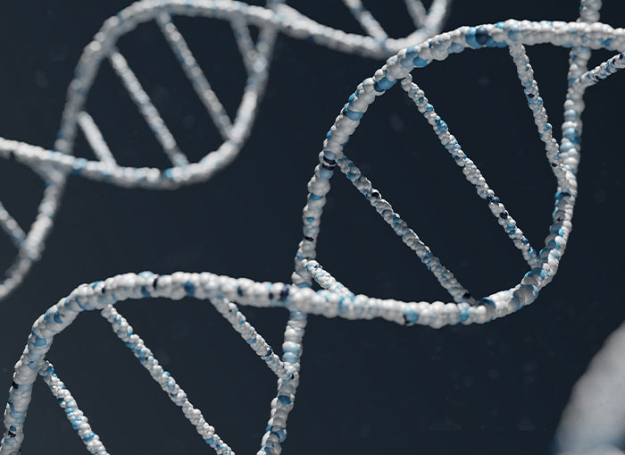 Wait, They Actually Ranked These Crazy History Moments?!