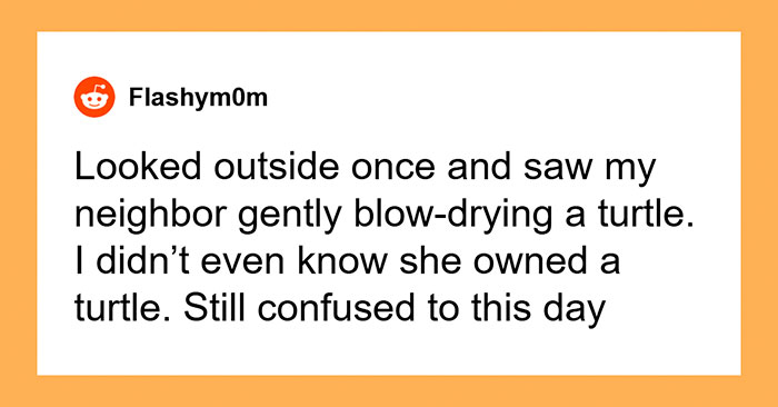The Wackiest Neighbor Moments You Won’t Believe Actually Happened