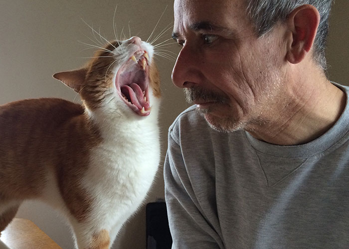 The Wackiest Neighbor Moments You Won't Believe Actually Happened