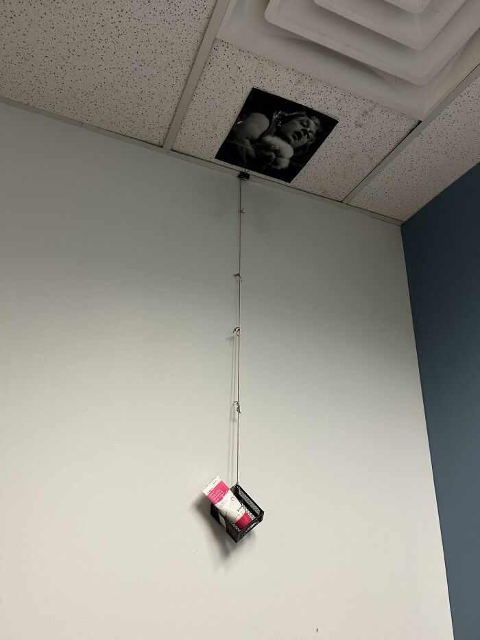 My Work Buddy Tim Just Won the Christmas Decor Contest