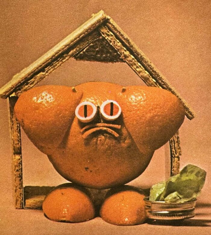 Mystery Dish Madness From 1972’s 'Tasty Treasures' (Can You Even Pronounce This?)
