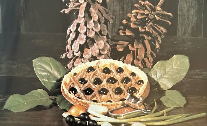 Onion Tart From 1973 That’s Giving Serious Retro Vibes