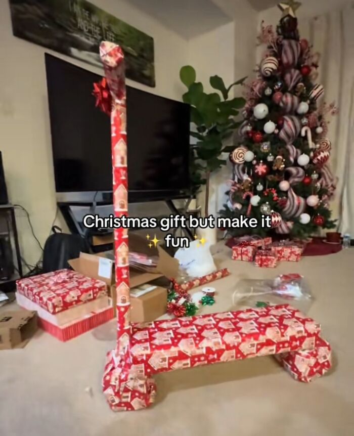 Pranked with an Electric Scooter Wishlist Gift