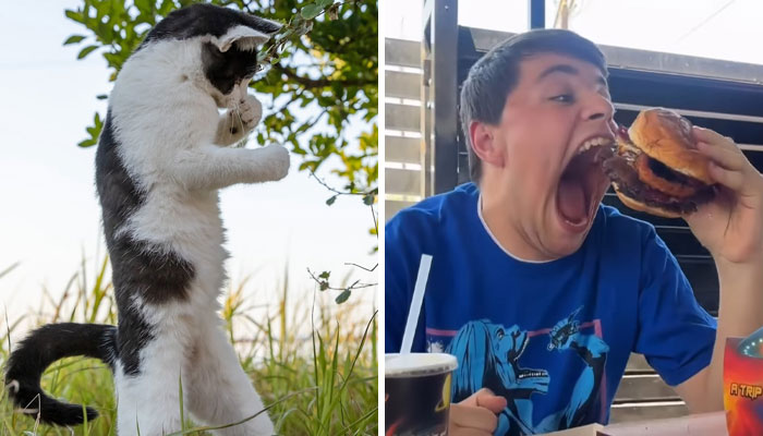 Let’s Dive Into 80 Wild And Wonderful Stories From “Spill Now”