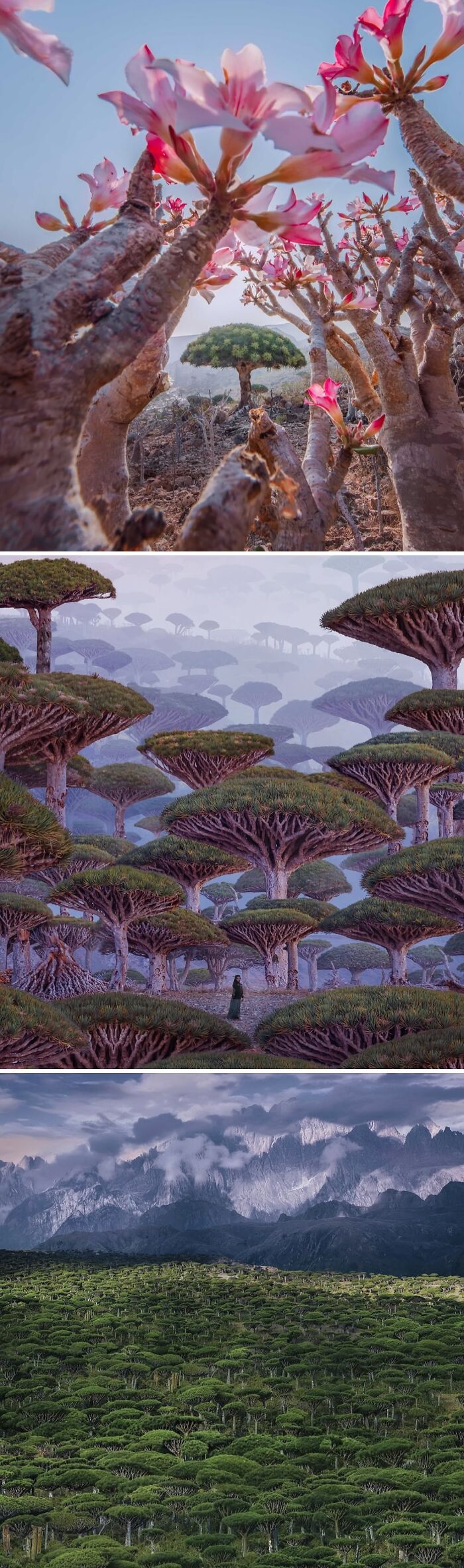 Let's Dive Into 80 Wild And Wonderful Stories From "Spill Now"