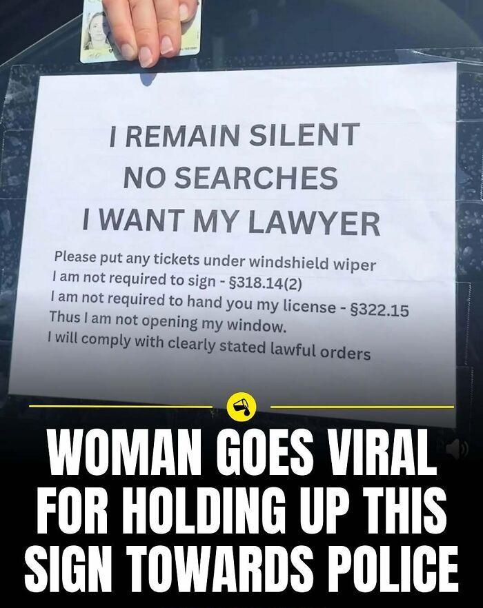 Let's Dive Into 80 Wild And Wonderful Stories From "Spill Now"