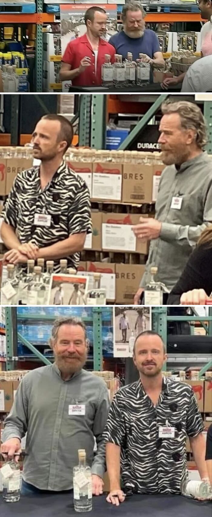 Let's Dive Into 80 Wild And Wonderful Stories From "Spill Now"