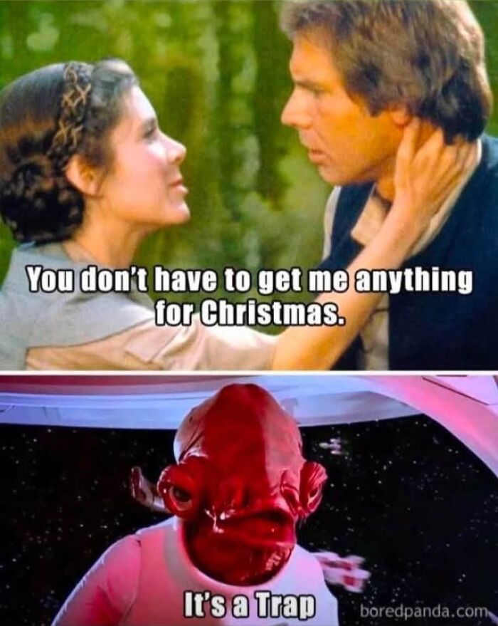 50 Christmas Memes That Nail the Holiday Chaos and Cheer