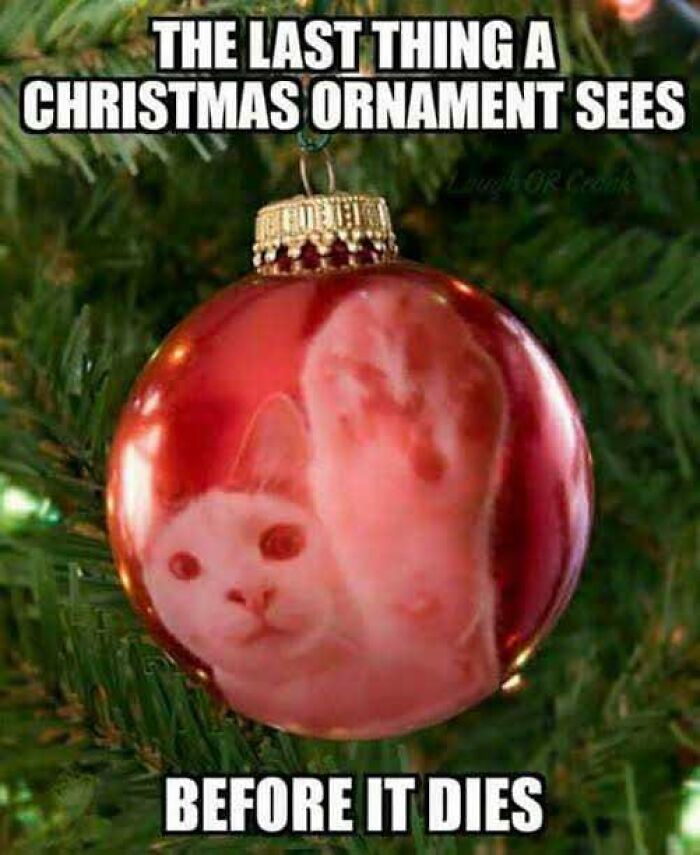 50 Christmas Memes That Nail the Holiday Chaos and Cheer