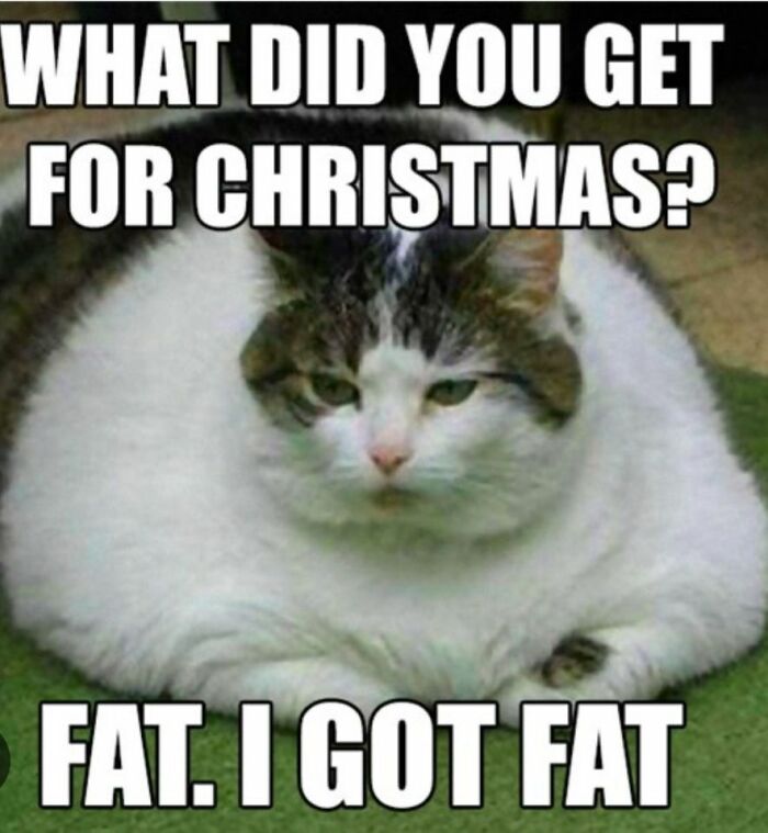 50 Christmas Memes That Nail the Holiday Chaos and Cheer