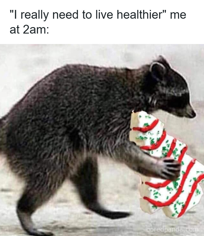 50 Christmas Memes That Nail the Holiday Chaos and Cheer