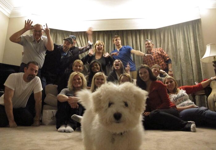 That Epic Christmas Photobomb