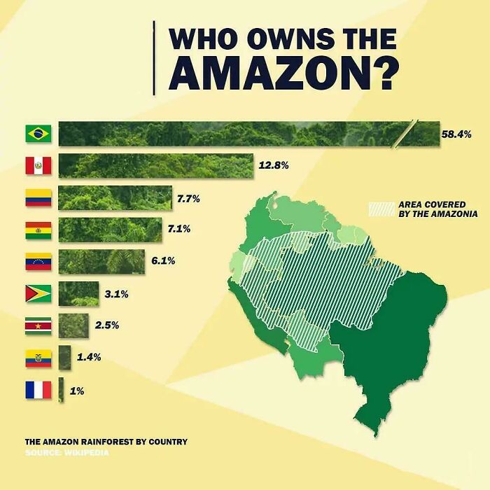 Who REALLY Owns The Amazon?