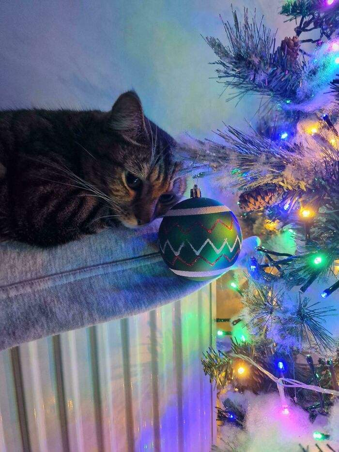 The Moment She Found Out Santa’s Just A Tall Human