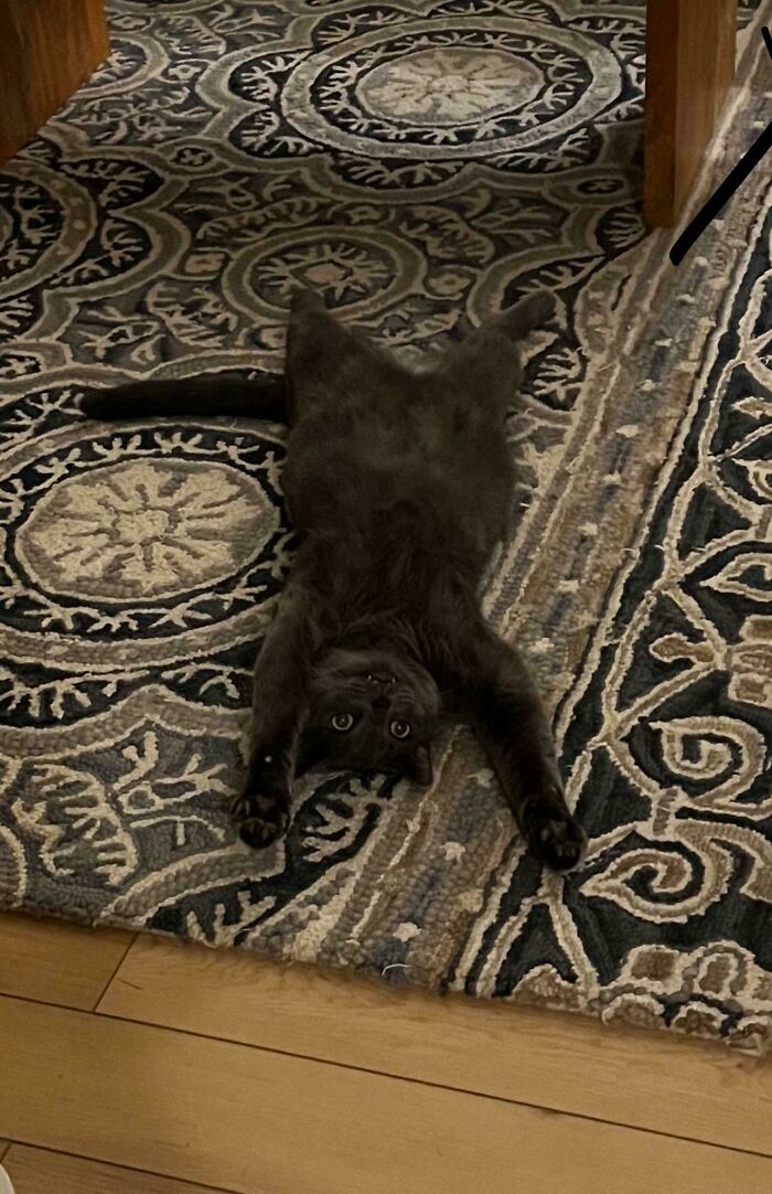 Thought About Captioning This, Ended Up With Nada