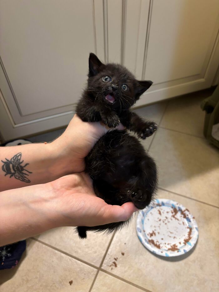 How To Stop This Food-Kneading Maniac?