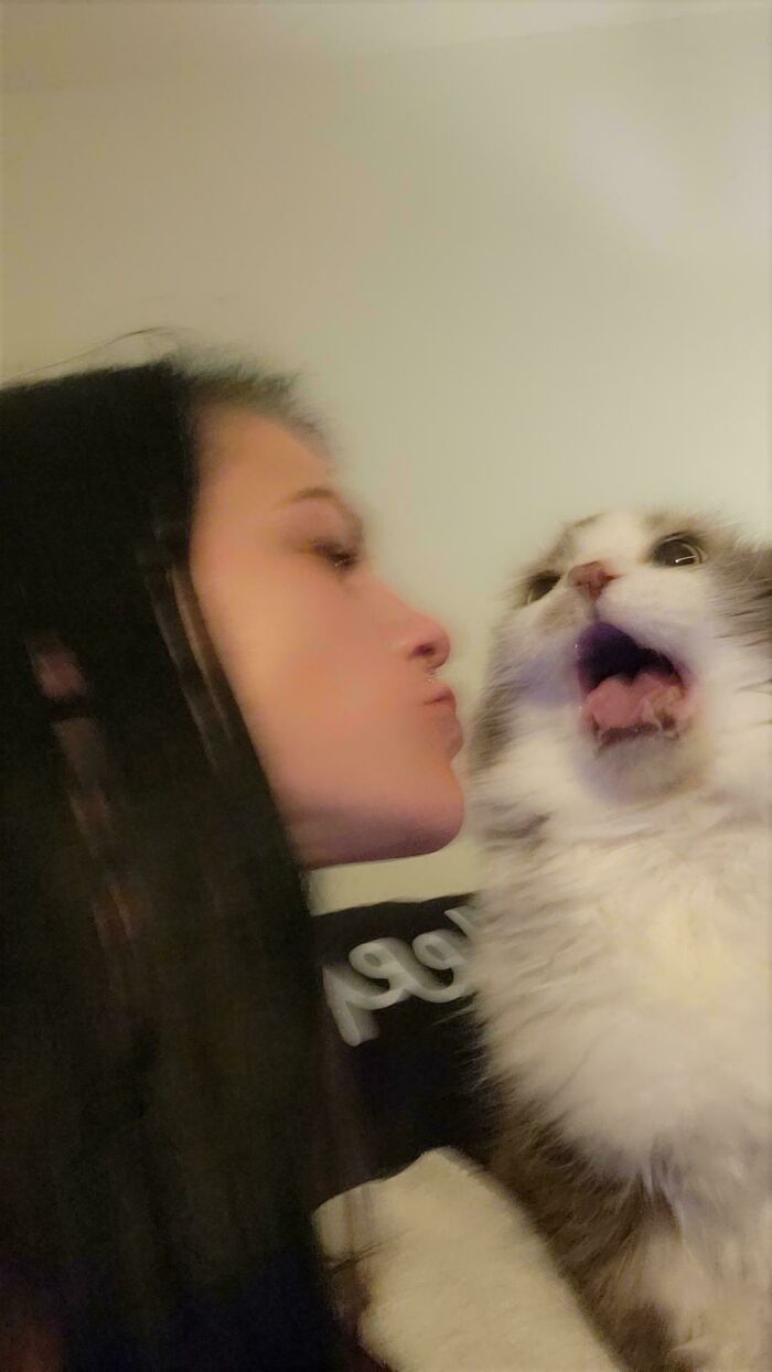 Just Wanted A Cute Pic, Ended Up With This