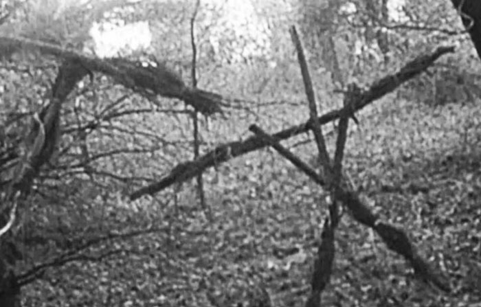 34 Weird & Creepy Stuff People Found in the Woods (Wait, What?!?!)