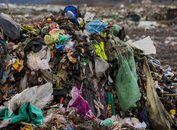 34 Weird & Creepy Stuff People Found in the Woods (Wait, What?!?!)