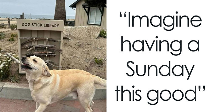 Cute Animal Pics That’ll Totally Melt Your Brain (In The Best Way)