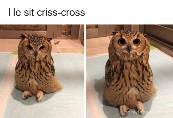 Cute Animal Pics That’ll Totally Melt Your Brain (In The Best Way)