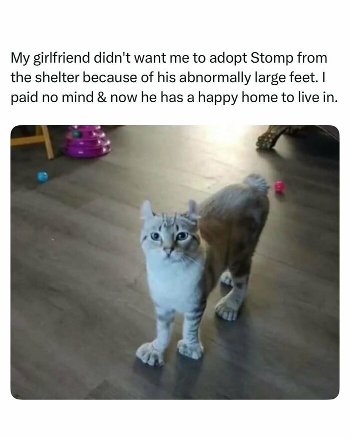 Cute Animal Pics That’ll Totally Melt Your Brain (In The Best Way)