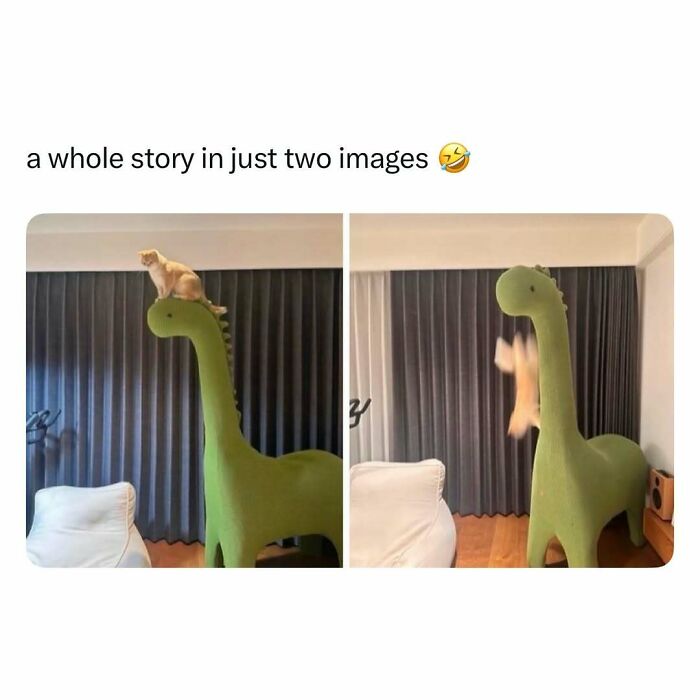 Cute Animal Pics That’ll Totally Melt Your Brain (In The Best Way)