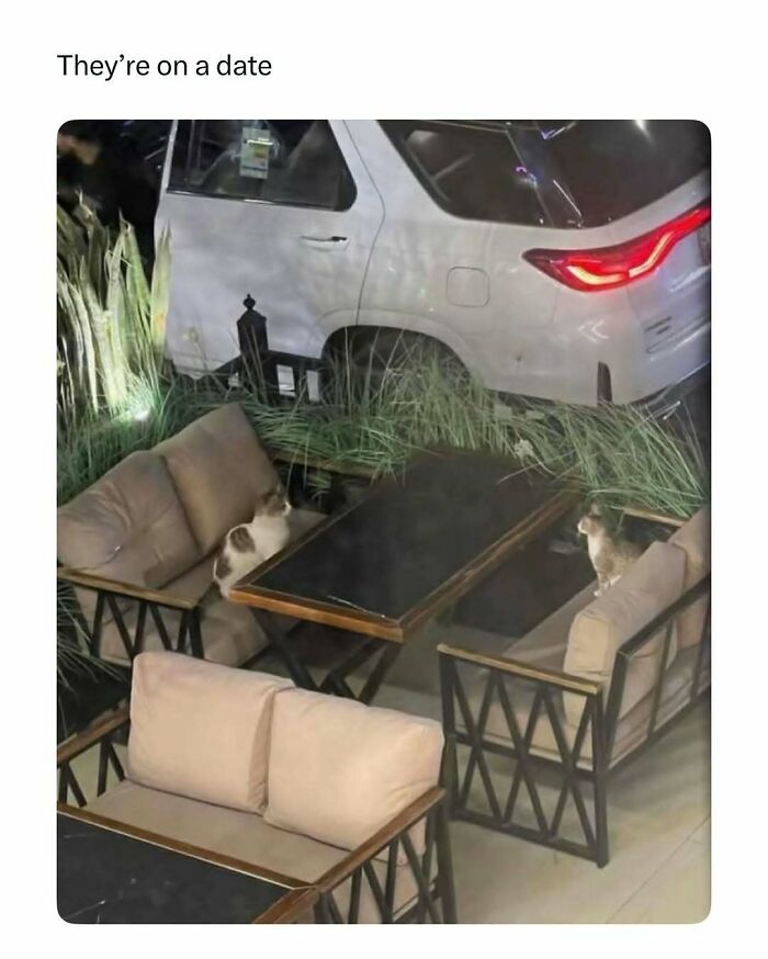 Cute Animal Pics That’ll Totally Melt Your Brain (In The Best Way)