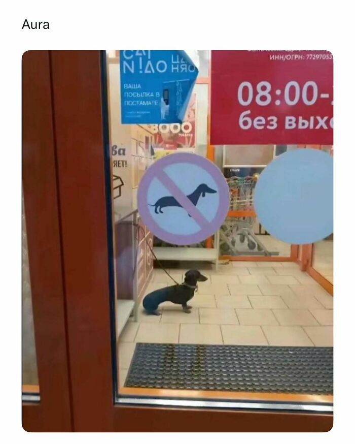 Cute Animal Pics That’ll Totally Melt Your Brain (In The Best Way)