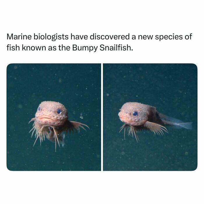 Cute Animal Pics That’ll Totally Melt Your Brain (In The Best Way)