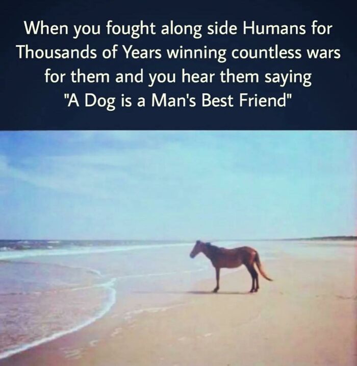 LOL Alert: 80 Memes That Prove We're All in This Crazy Together